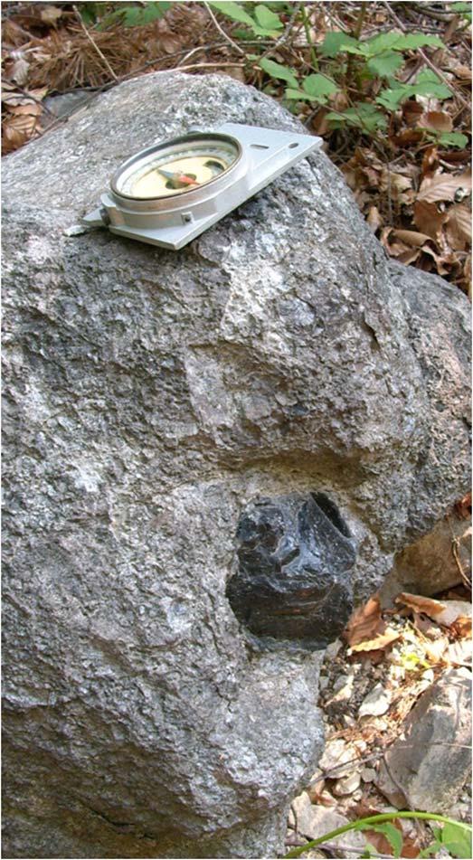 183 Fig. 3.: The Carpathian 3 obsidian in an agglomerate type tuff 3. ábra: Kárpáti 3 obszidián agglomerátumos tufában Fig. 4.