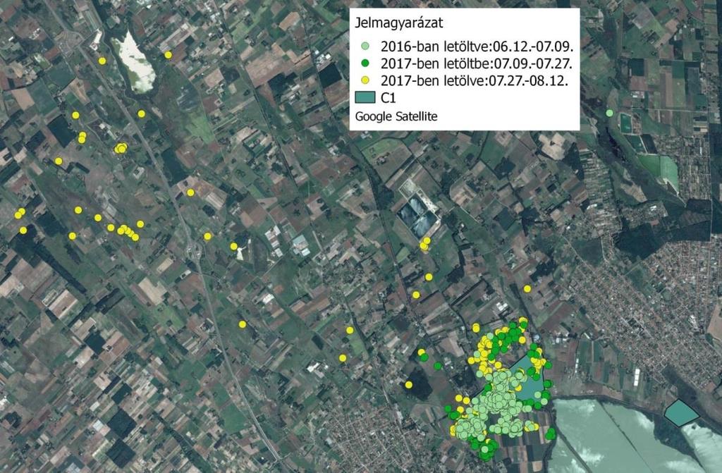 A jelek alapján a kirepülést követően nagy területet járt be a madár, ebben az időszakban nem találtuk vissza, viszont a vonulás előtt ismét a projektterületre koncentrálódott