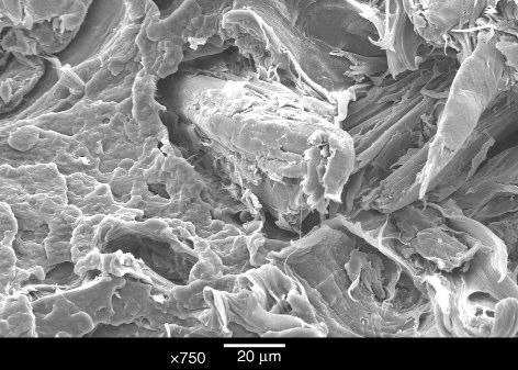 a 0,25 mm-es, egyszer szitált frakciónál 250 300 µm közötti, a 0,5 mm-es, egyszer szitált frakciónál 300 350 µm közötti, a 0,8 mm-es, egyszer szitált frakciónál 350 400 µm közötti, az 1,0 mm-es,