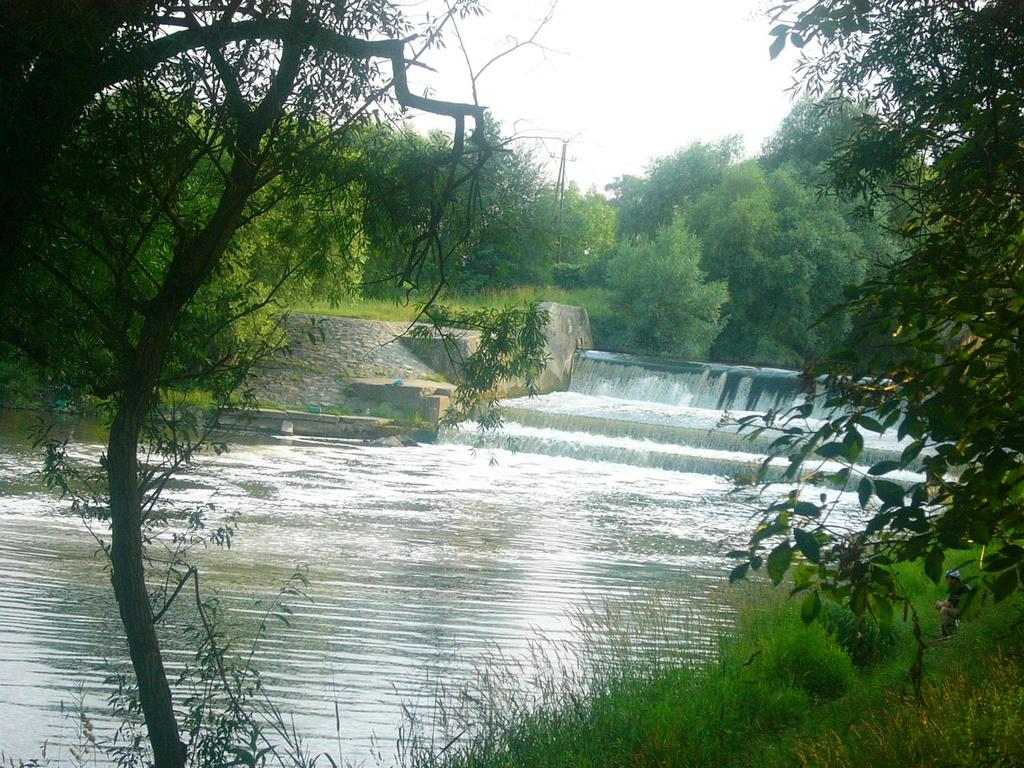 Megtisztelő