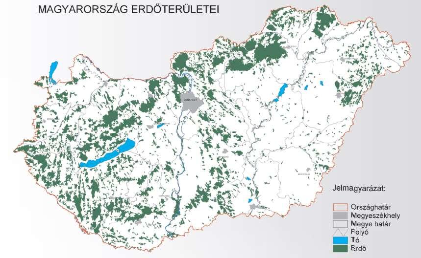 1. kép: Erdőterületek elhelyezkedése (MgSzH, 2008) Az alföldfásítási program keretében, a homok megkötésére elsősorban akácot ültettek.