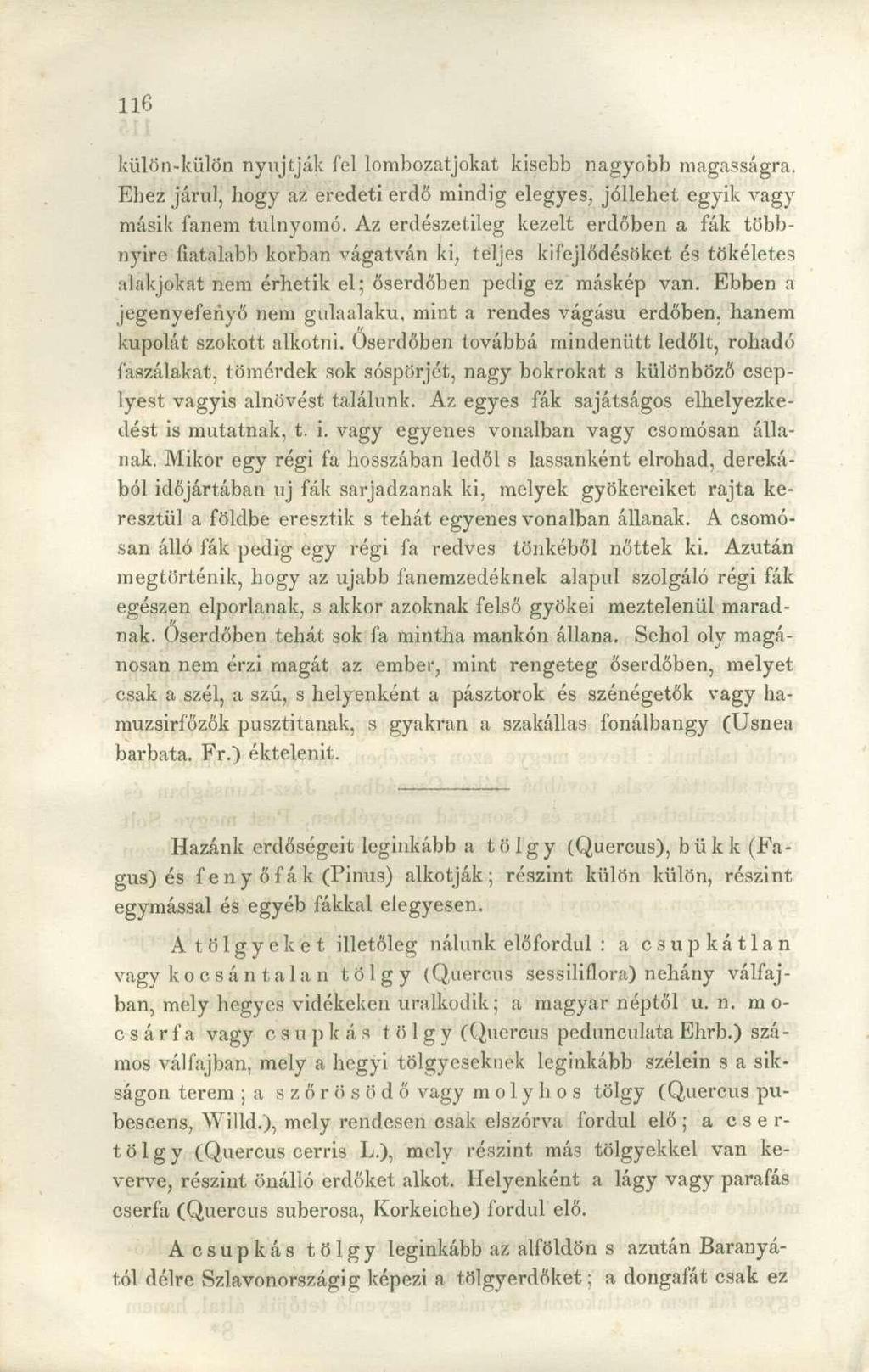 külön-külön nyújtják fel lombozatjokat kisebb nagyobb magasságra. Ehez járul, bogy az eredeti erdő mindig elegyes, jóllehet egyik vagy másik fanem túlnyomó.