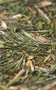 2 // 5 ÚJRATERVEZETT A természet kézjegye és a mérnöki tervezés A Viaplant növényi összetételű kreatív alapanyag a belsőépítészet és a divatipar számára.