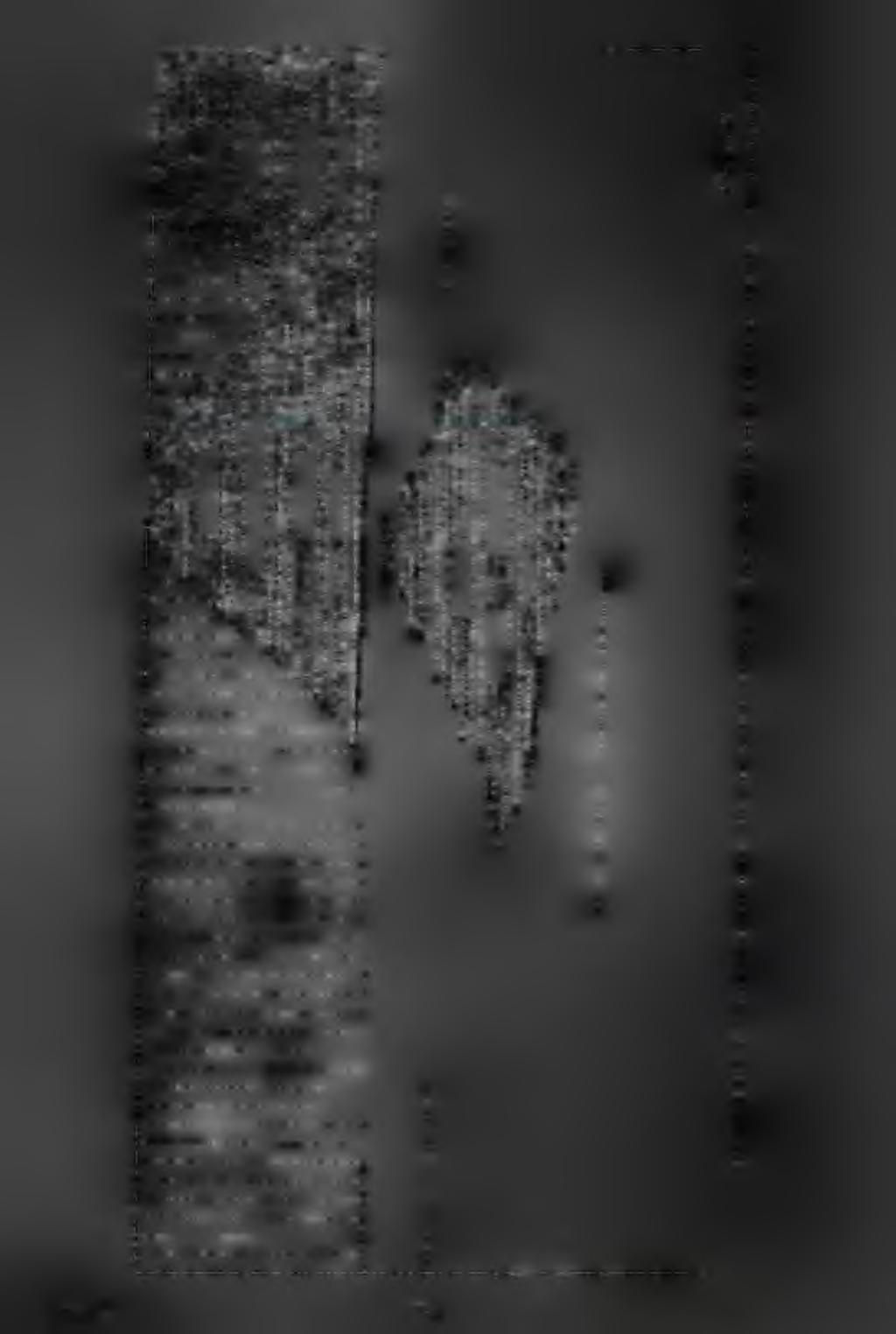 3114 139