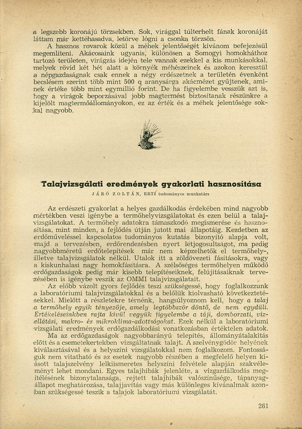 a legszebb koronájú törzsekben. Sok, virággal túlterhelt fának koronáját láttam mér kettéhasadva, letörve lógni a csonka törzsön.