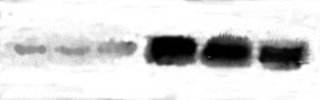részének 1-3,