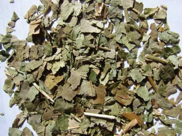 Hatóanyagok: flavonolok: rutin kvercetin kempferol fenolsavak kumarin tannin illóolaj nyálkaanyagok Fraxini folium kőrislevél Hatás: