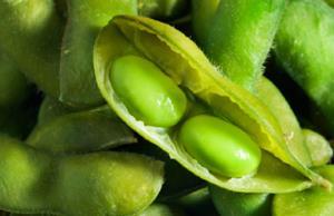 Izoflavonoidok Izoflavonoidok csak kevés növényben fordulnak elő, többnyire a Fabaceae