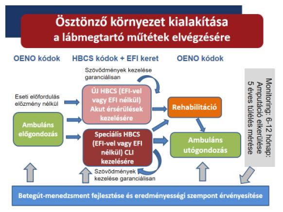Alsó végtagi verőér betegségek (LEAD), ezen belül a kritikus