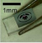 Piezoresistive 3D force