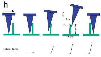 Piezoelectric ZnO