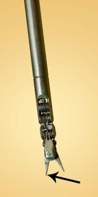 force inside the tweezer head -