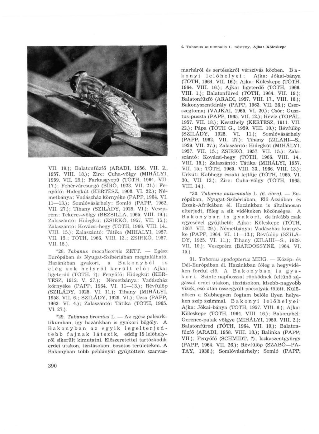 6. Tabanus autumnalis L. nőstény, Ajka: Köleskepe VIL 19.); Balatonfűzfő (ARADI, 1956. VII. 2., 1957. VIII. 18.); Zirc: Cuha-völgy (MIHÁLYI, 1959. VII. 29.); Farkasgyepű (TÓTH, 1964. VII. 17.