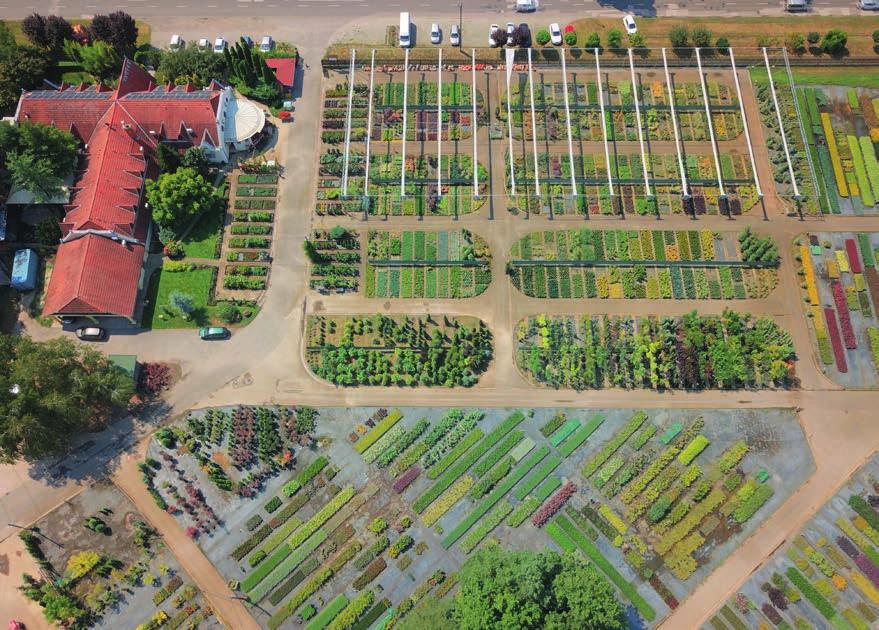 2019-2020 Faiskolai árjegyzék www.juniperus.hu Kiskereskedelmi értékesítés szeptember 2. október 31. munkanapokon: 8:00-17:00 óráig, szombaton: 8:00-16:00 óráig november 2. december 23.