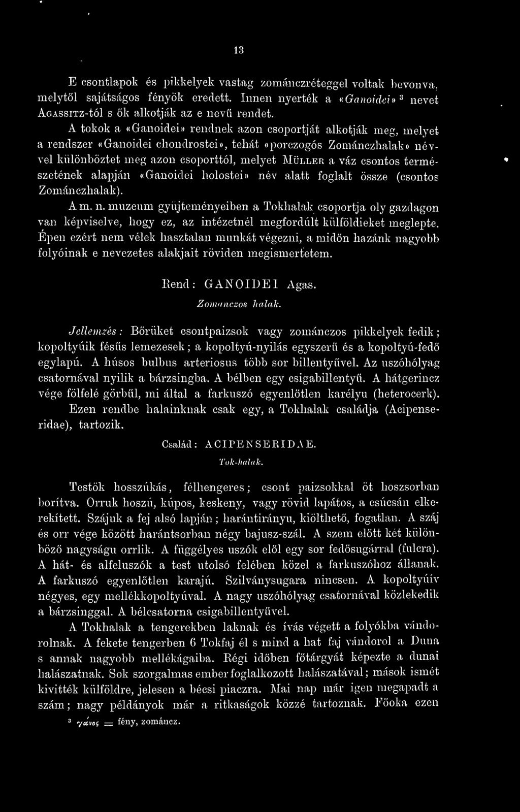 természetének alaj^ján «Ganoidei holostei» név alatt foglalt össze (csontos Zománczhalak). Am. n. múzeum gyjteményeiben a Tokhalak csoportja oly gazdagon van képviselve, hogy ez, az intézetnél megfordult külföldieket meglepte.