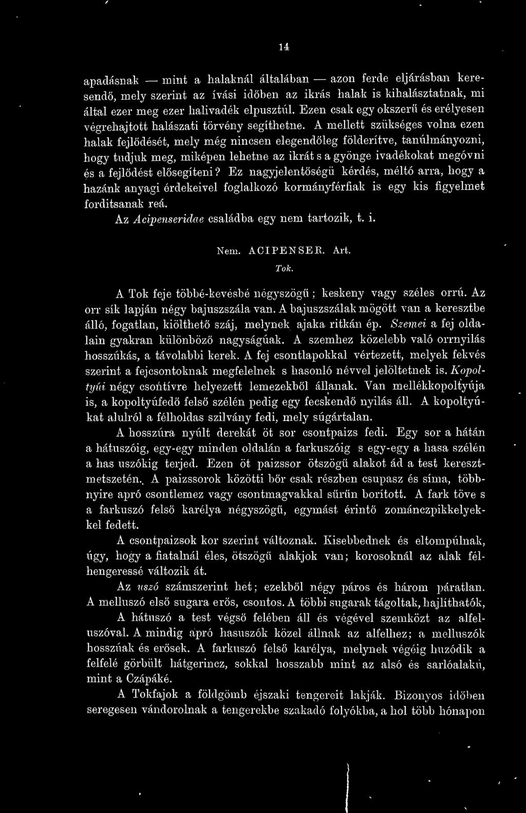 A mellett szükséges volna ezen halak fejldését, mely még nincsen elegendleg földerítve, tanulmányozni, hogy tudjuk meg, miképen lehetne az ikrát s a gyönge ivadékokat megóvni és a fejldést elsegíteni?