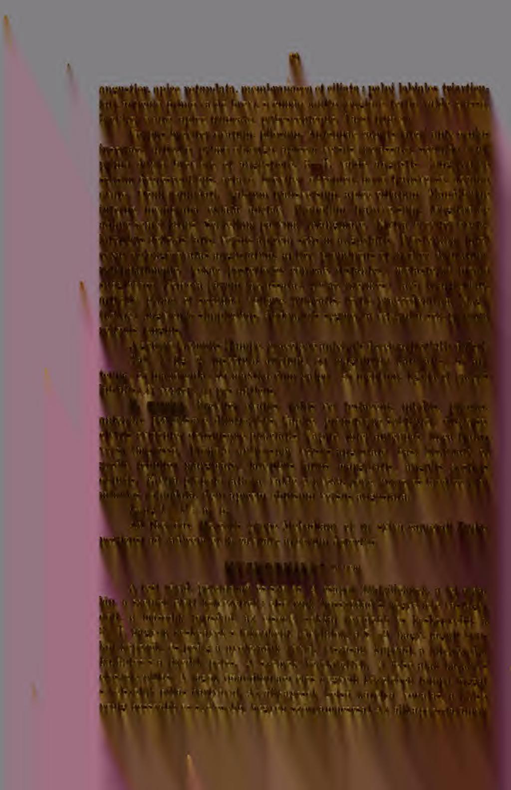 20 angustior, apice rotundata, membraiiacea et ciliata ; palpi labiales triartieulati, artieulo primo vaide brevi, secundo multo longiore, tertio valde crasso, breviter ovato, apice triincato,