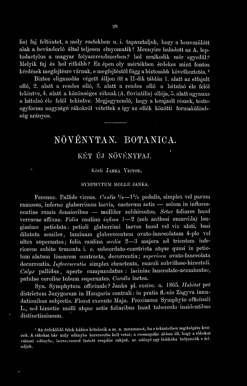 ^ Biztos eligazodás végett álljon itt a Il-dik táblán 1. alatt az elfajult olló, 2. alatt a rendes olló, 3. alatt a rendes olló a hátulsó éle felöl tekintve, 4. alatt a közönséges ráknak (A.