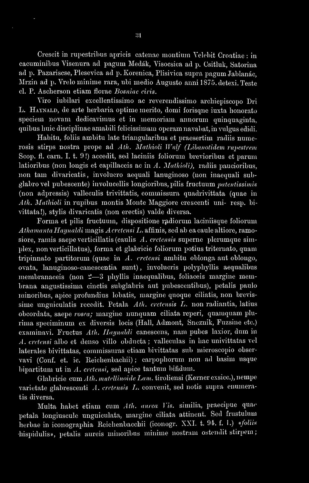 31 Crescit in rupestribus aprieis catenae montinm Veleliit Croatiae : in cacuminibus Visenura ad pagum Medák, Visocsica ad p. Csitluk, Satorina ad p. Pazariscse, Plesevica ad p.
