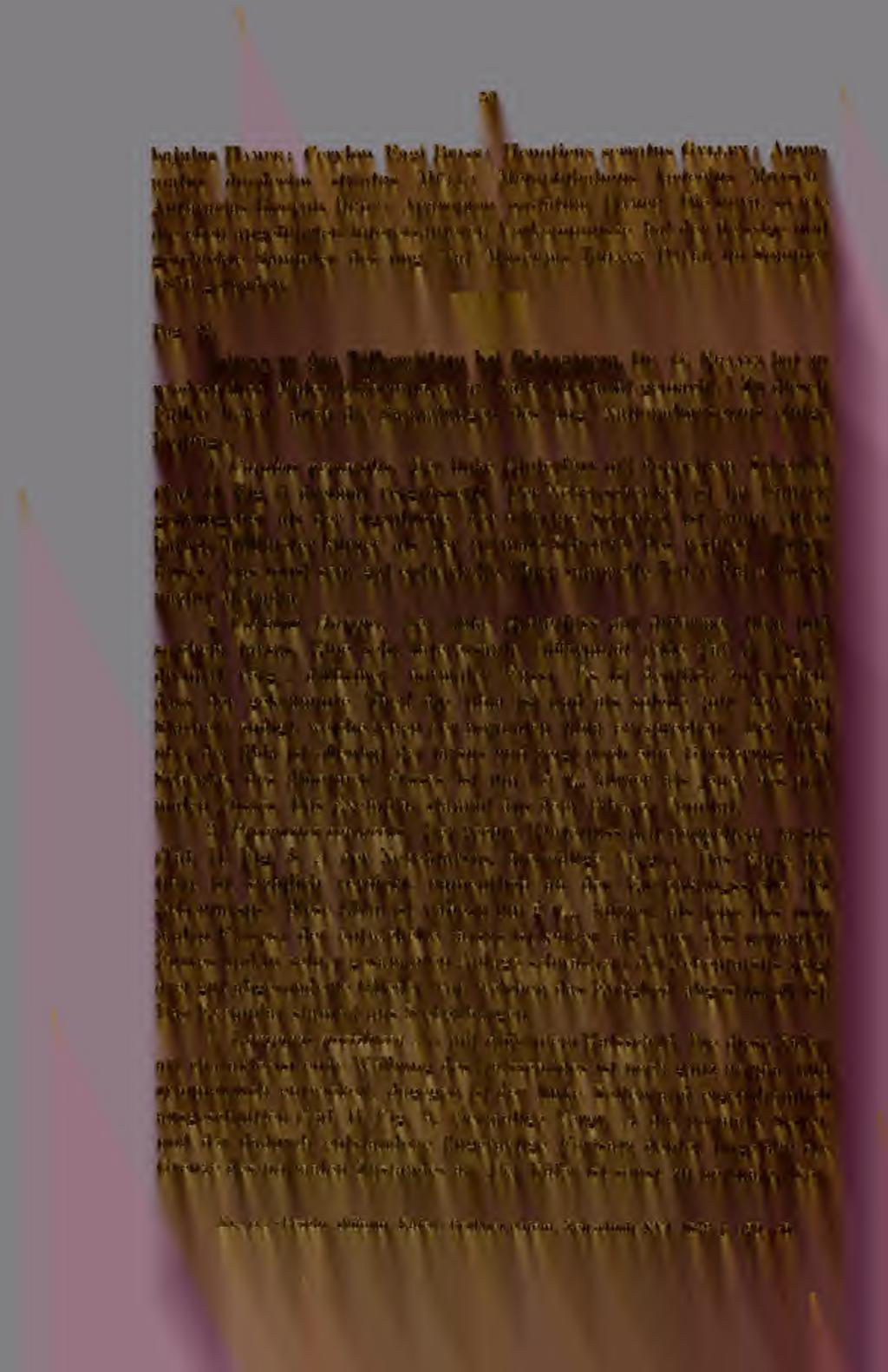 52 bajius Hampe ; Cerylon Fagi Briss ; Henoticiis serratus Gyllen ; Arommatiis duodecim striatus Müll; Metophthalmus lacteoliis Motsch Anthracias bicornis Eedt ; Aparopion costatiim Hampe.