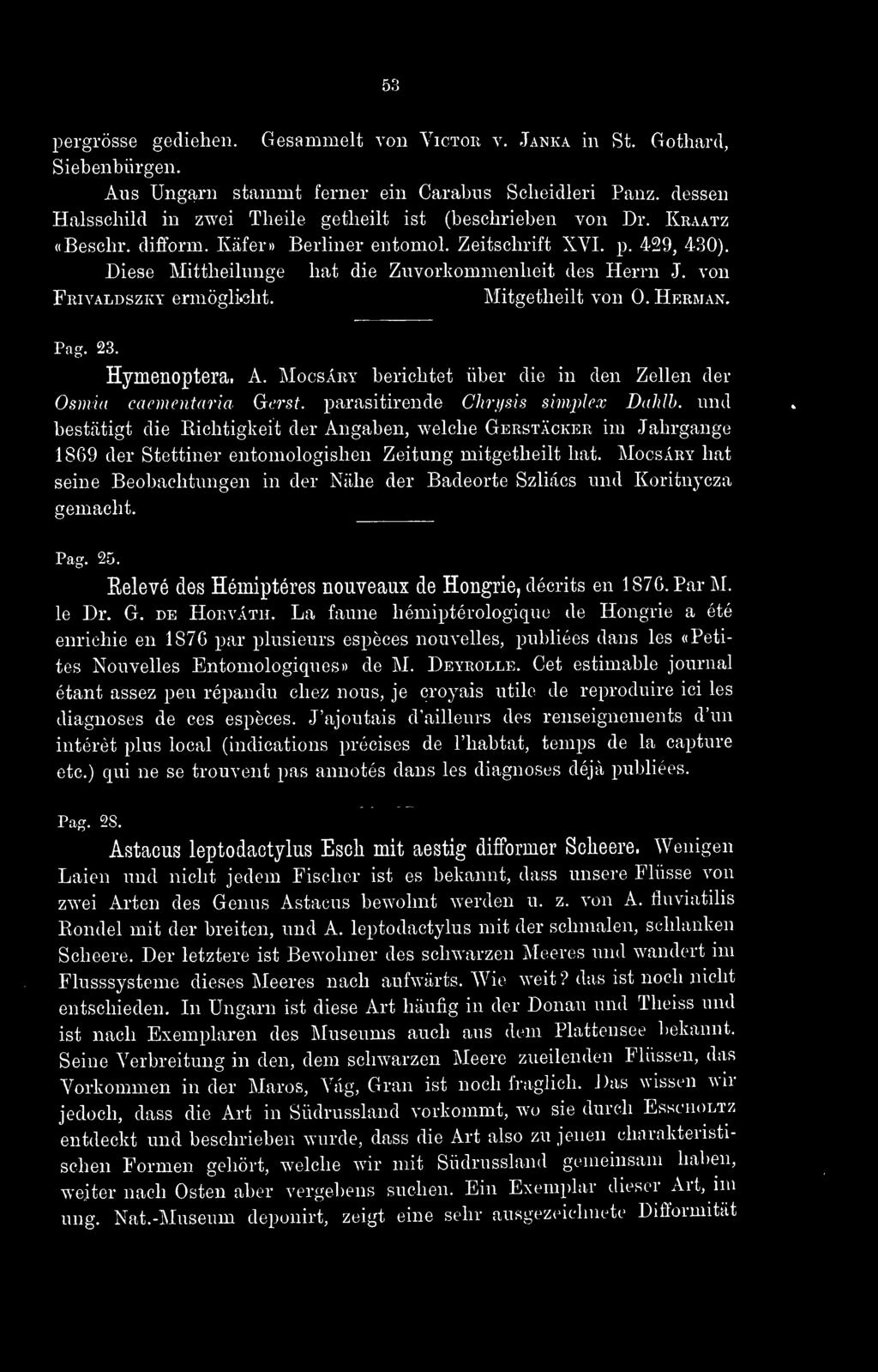 53 pergrösse gediehen. Gesammelt von Victor v. Janka in St. Gothard, Siebenbürgen. Aus Ungarn stammt ferner ein Carabus Scheidleri Panz.
