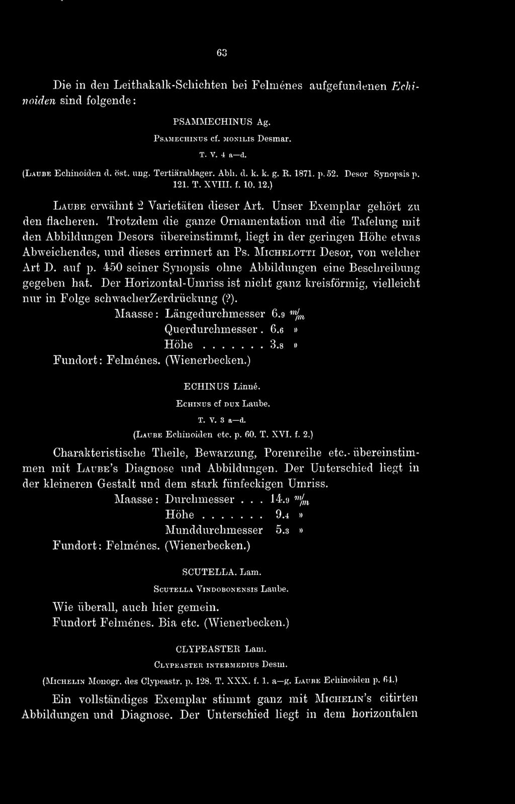 Trotzdem die ganze Ornamentation und die Täfelung mit den Abbildungen Desors übereinstimmt, liegt in der geringen Höhe etwas Abweichendes, und dieses errinnert an Ps.