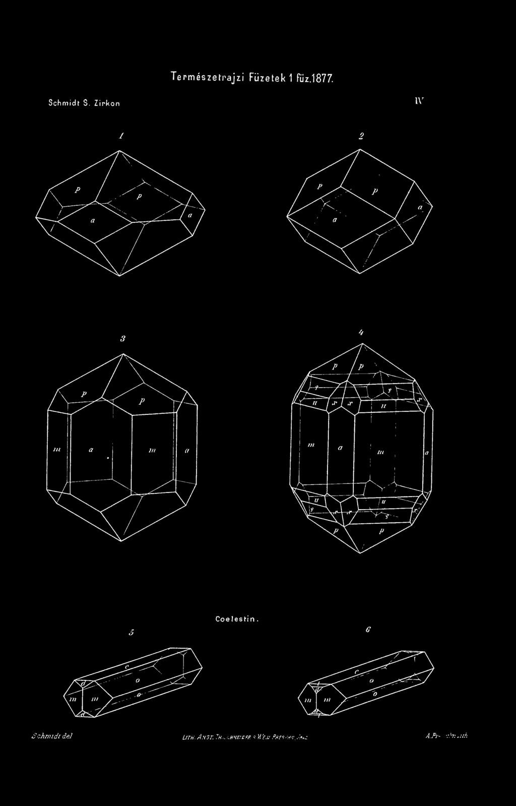 Schmidt del. Urn. An3t. Th.S:.hne!