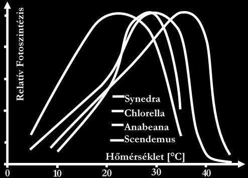 1992) Chlorococcum Littorate 60% (Kodama, Ikemoto, és Miyachi 1993) Synechcoccus elongatos 60% (Miyairi 1995) Euglena gractlis 45% (Nakano és mtsai. 1996) Chlorella sp. 40% 10% (Hanagata és mtsai.