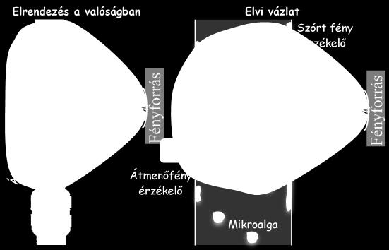 ábra Az átmenő és a szórt fényáram mérése Forrás: saját Az algaáramlást a meghajtó gáz által előidézett buborékoszlop biztosította. A beáramoltatott gáz összetételét a PLC vezérelte.