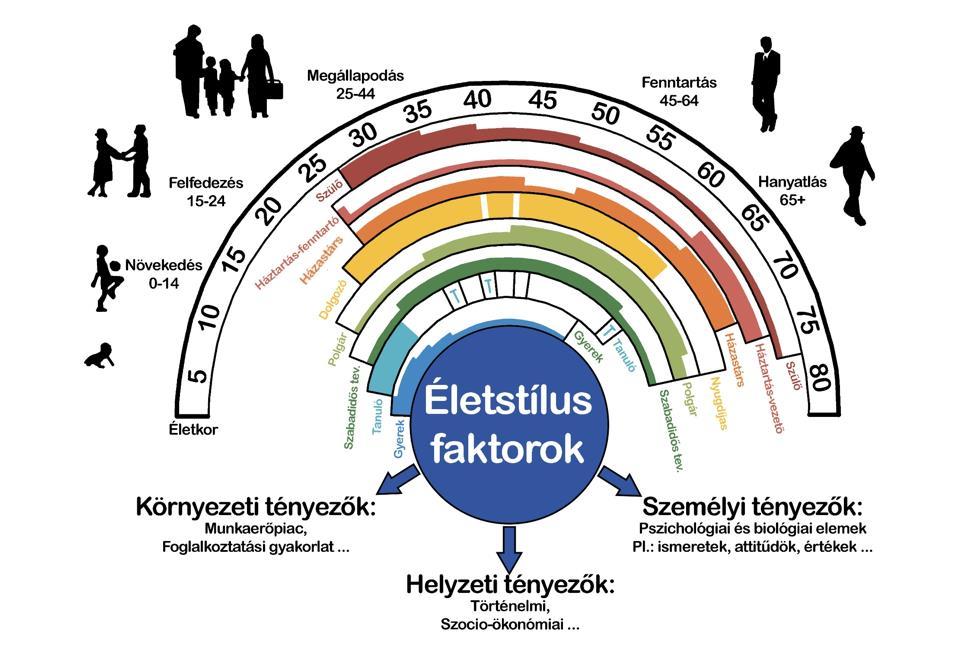 Az életpálya ötödik és egyben utolsó szakasza a hanyatlás stádiuma (65 éves kortól). A fizikai és szellemi erő csökkenésével megváltozik a munkaaktivitás.