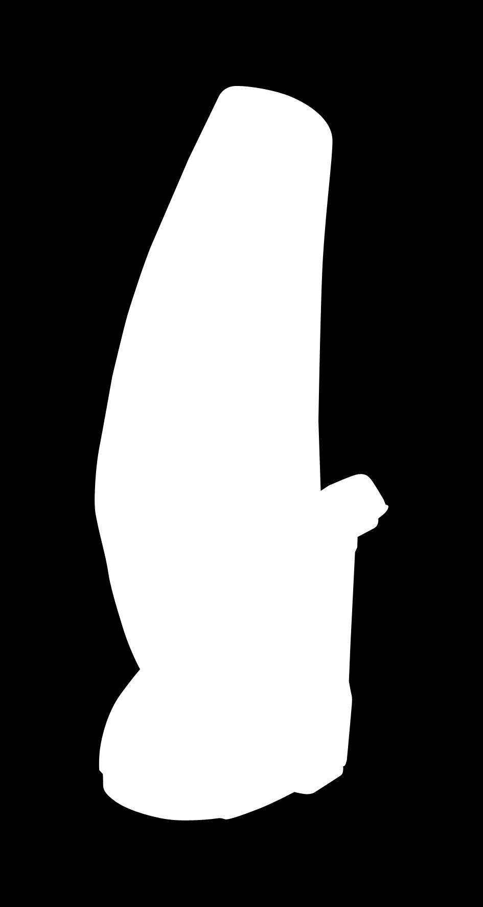 Wiederaufladbarer Handstaubsauger