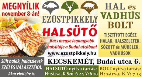 Kékes, lilás, bordós takarólevelei a leghidegebb mínuszokban is védelmet biztosítanak számára, így az egész telet átvészeli.