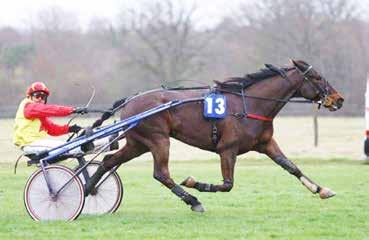 10 Tiny Angel 1800 m Várhidi Róbert (31,1-13) (Kék, piros váll) 4 pk What a Man - Siberie / Lejacque d' Houlbec Várhidi Róbert Istálló: Mr. Tomi i. 20.9 20.9-356000 Ft Élet stat.