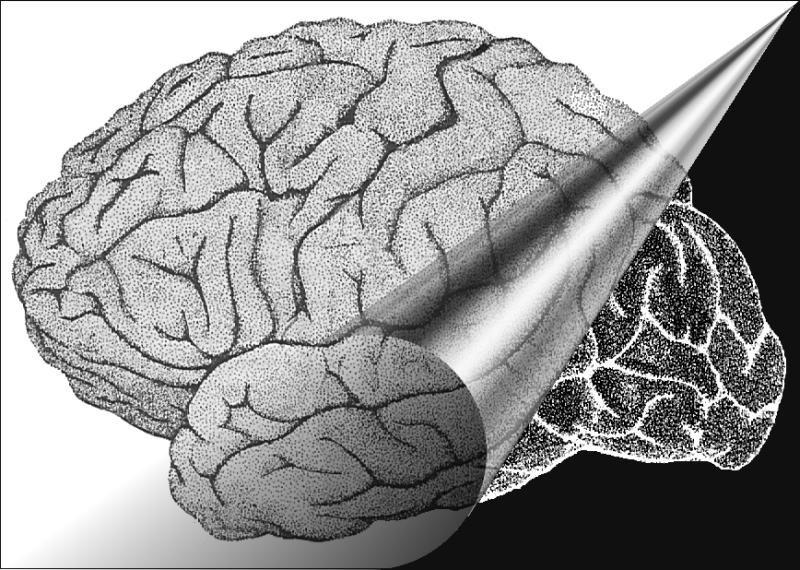 Vol. 92, pp. 67-94 Ajánlott: Putnam, Hillary (1981) Brains in a vat in Hilary Putnam: Reason truth and history, Cambridge University Press, pp. 1-22. 2.