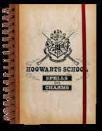 levele 1 999 HARRY POTTER