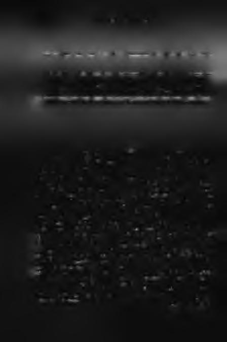 2 7 2 D R. V U K O V IC H G Y Ö R GY 1949** 1589 17.3 1750 19,0 5866 63,7 9205 100,0 1960 1804 18,1 2154 21,6 6003 60.3 9961 100.