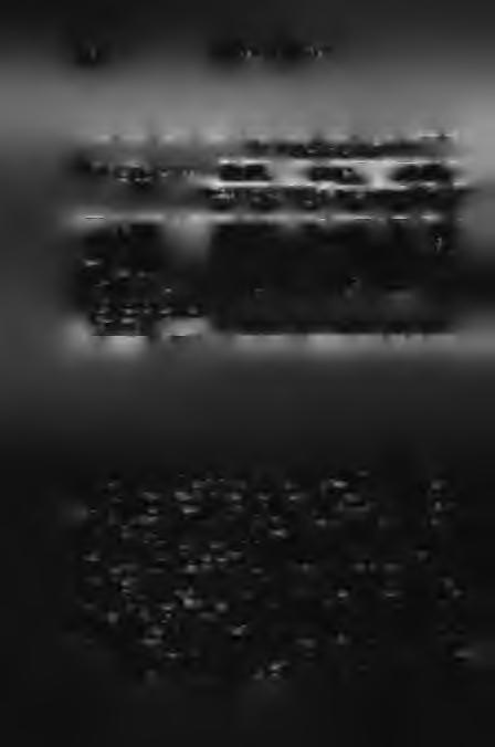274 DR. V U K O V IC H G Y Ö R G Y I d ő p o n t, z á r ó je lb e n a z á lla m ig a z g a tá s i t e r ü le t i á lla p o t (2) N é p e s s é g s z á m n a g y s á g c s o p o r t (fő) u) 1949.