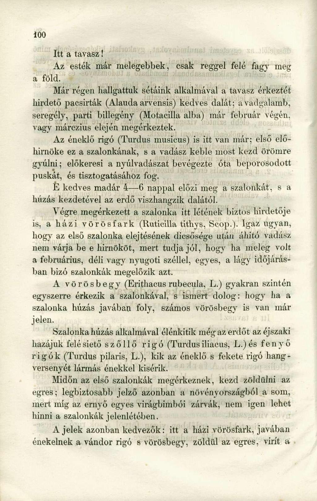 Itt a tavasz! Az esték már melegebbek, csak reggel felé fagy meg a föld.