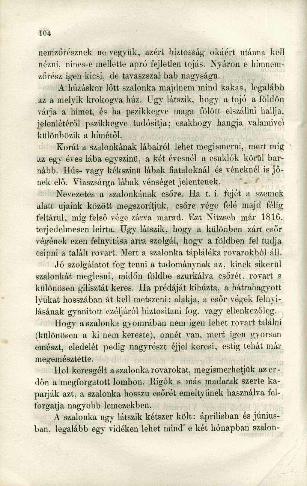 nemzőrésznek ne vegyük, azért biztosság okáért utánna kell nézni, nincs-e mellette apró fejletlen tojás. Nyáron e hímnemzőrész igen kicsi, de tavaszszal bab nagyságú.