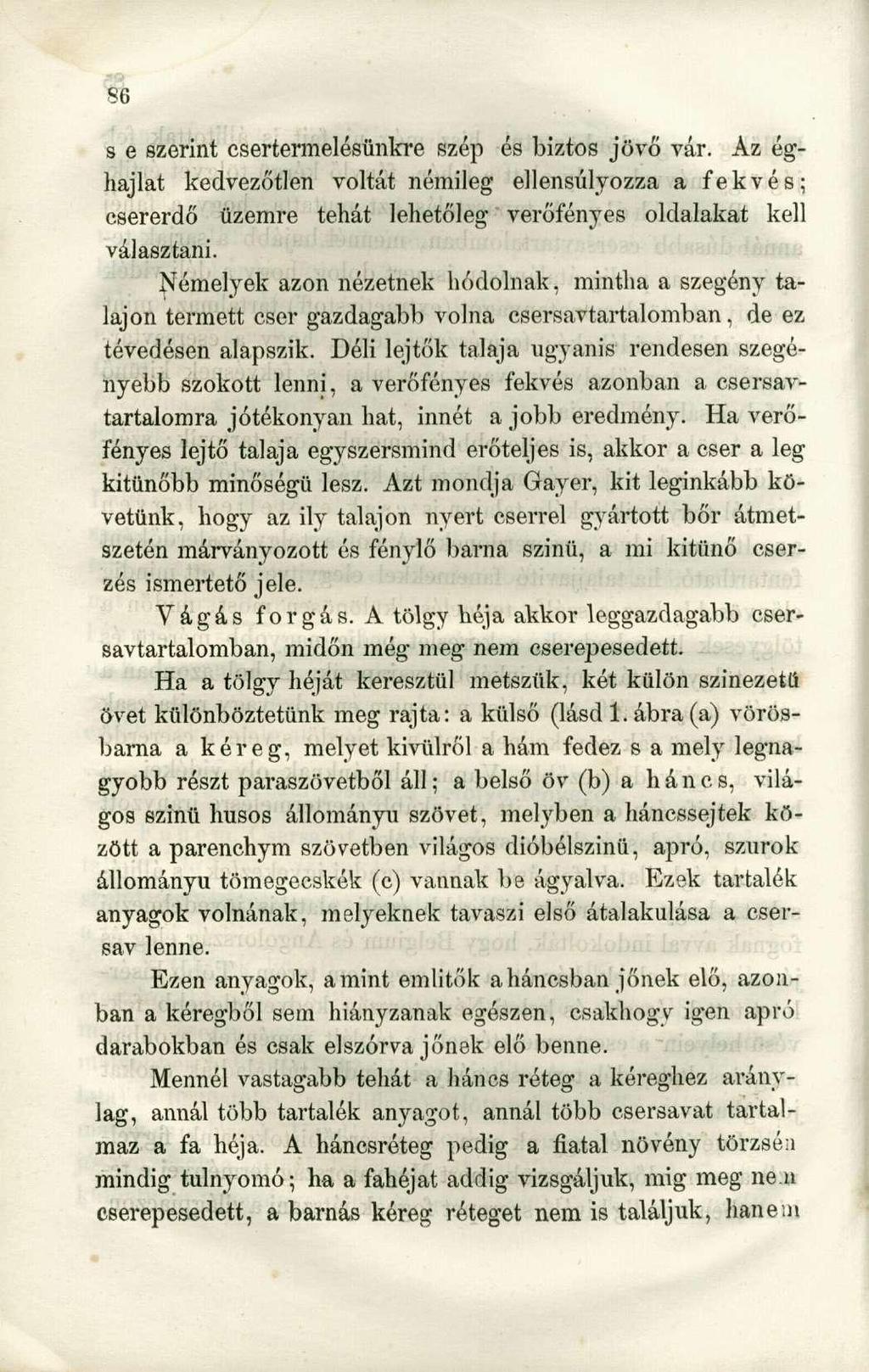 s e szerint csertermelésünkre szép és biztos jövő vár. Az éghajlat kedvezőtlen voltát némileg ellensúlyozza a fekvés; csererdő üzemre tehát lehetőleg verőféryes oldalakat kell választani.