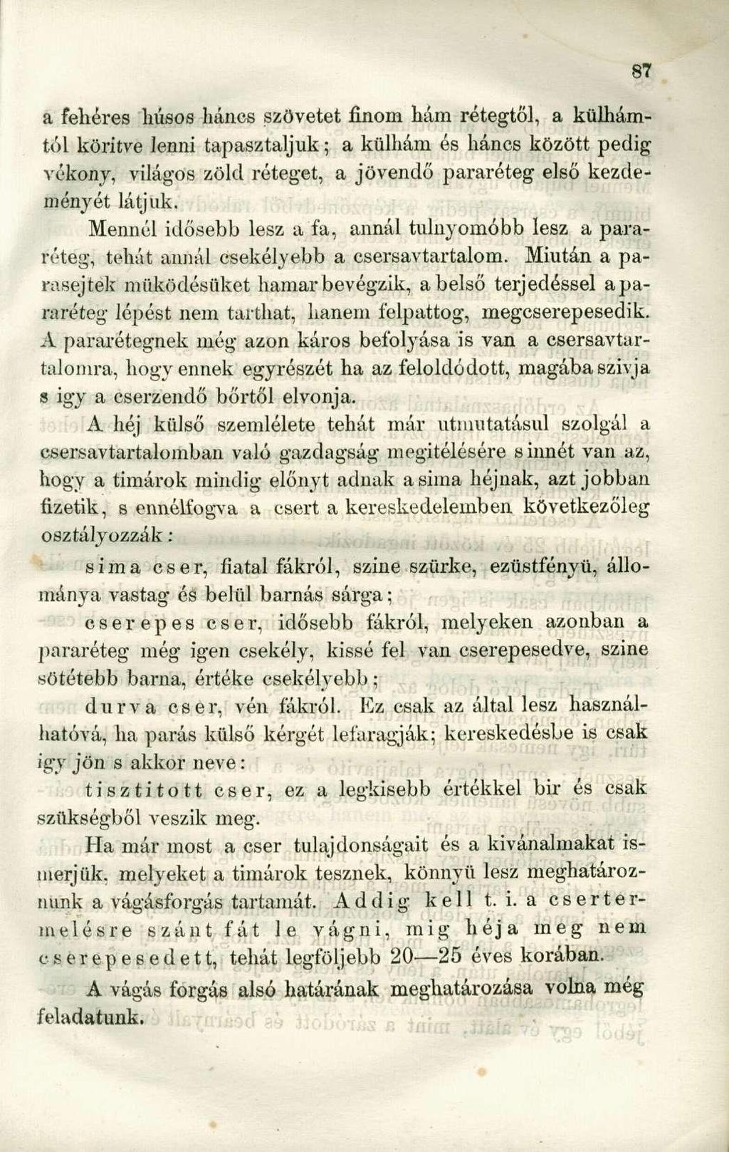 a feliéres húsos háncs szövetet finom hám rétegtől, a külhámtól körítve lenni tapasztaljuk; a külhám és háncs között pedig vékony, világos zöld réteget, a jövendő pararóteg első kezdeményét látjuk.