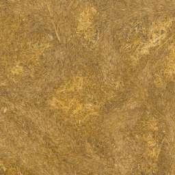 cserszömörce CALAM TRITICUM