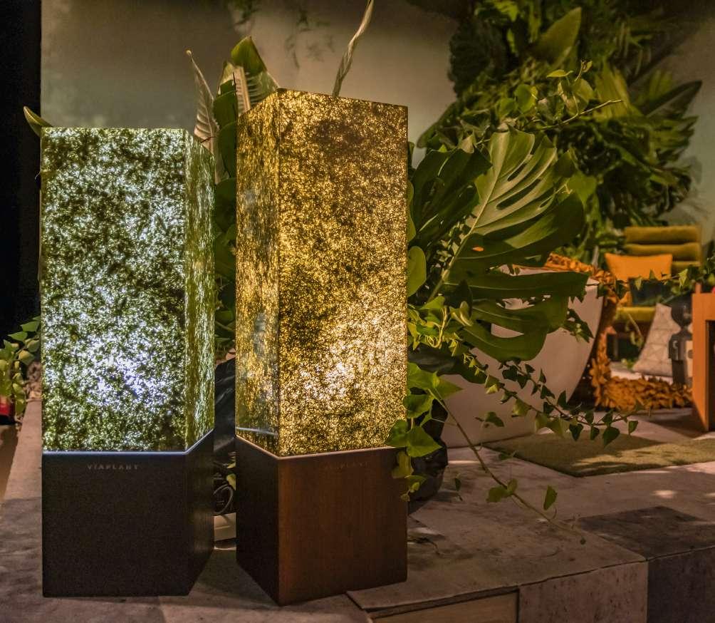 POA FLORI FŰ VIRÁGSZIROMMAL Fűféléket tartalmazó panel, amely a különleges
