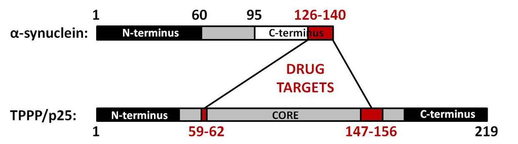 surface of their pathological complex as a new, innovative strategy in order to impede the formation of the fatal oligomers or destruct the formed aggregates (Tőkési et al. 2014).