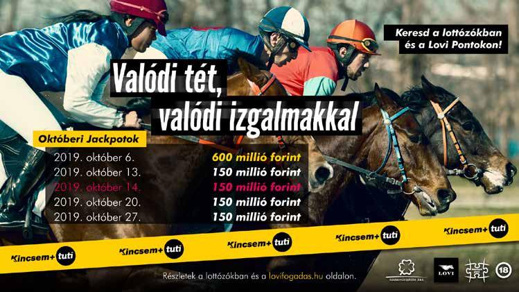 11 EMERAUDE VEBE 5 k USHIRO GWEN - QUINE DU RELAIS 2150 1:13.7 57500 EUR PH. MASSCHAELE Jean Claude LOUCHE Mme G. MASSCHAELE 2A4A2A6A3A6A3ADA3A4A 2019.09.22 LA CAPELLE 13 2750 02 1:15.3 PH.