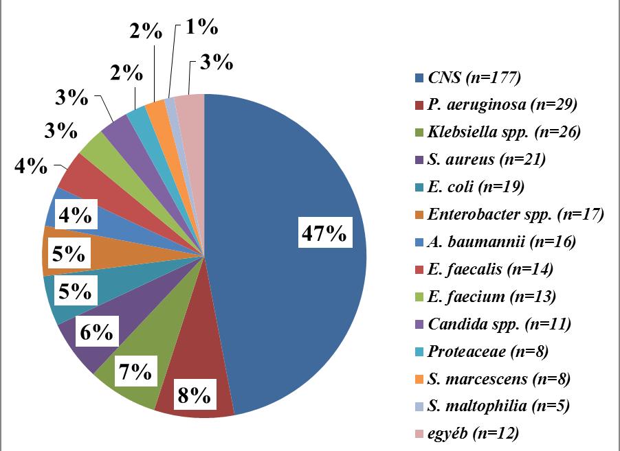 Hemokultúra izolátumok (%) 2018-ban; ITO, SE; n= 376 - Betegre tisztított adatok - biztosan kontaminánsok nélkül - ~ kontamináció 16 %! Egyéb: S.