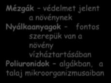 Szénhidrátok Poliszacharidok Homoglükánok Heteroglükánok Glükán csak glukózból keményítő gabonák, burgonya cellulóz Fruktozán csak fruktózból inulin Asteraceae Galaktán