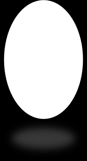 gyökérzet