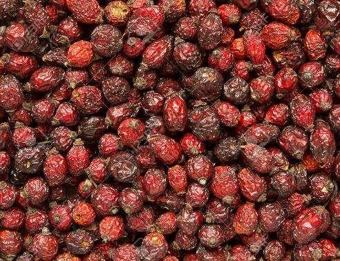 Rosae pseudofructus -