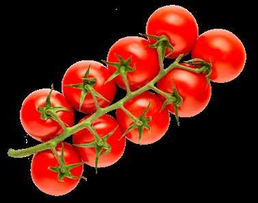 500 g, 776 /kg